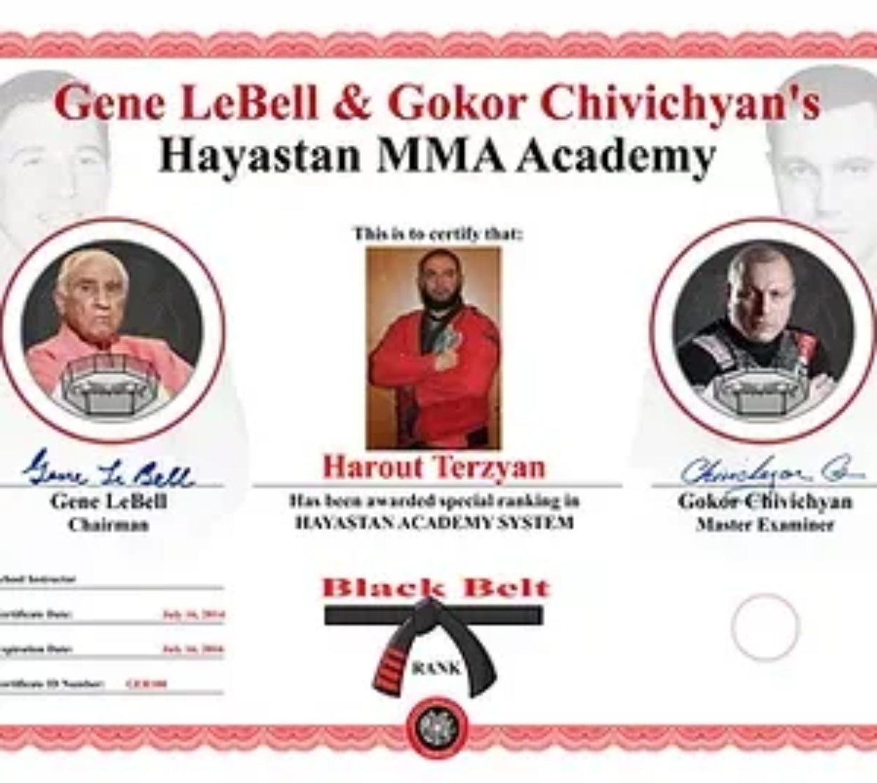 Hayastan MMA Academy affiliate