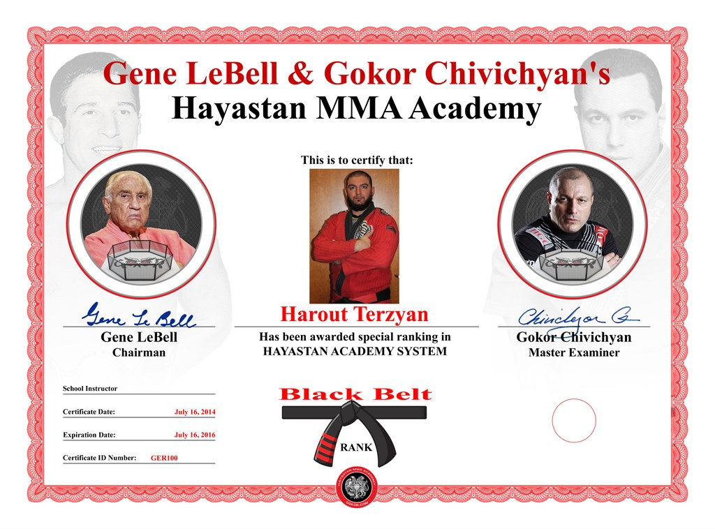 Hayastan MMA Academy Certificate