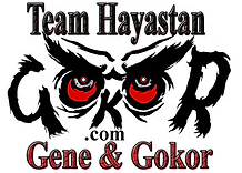 Team Hayastan