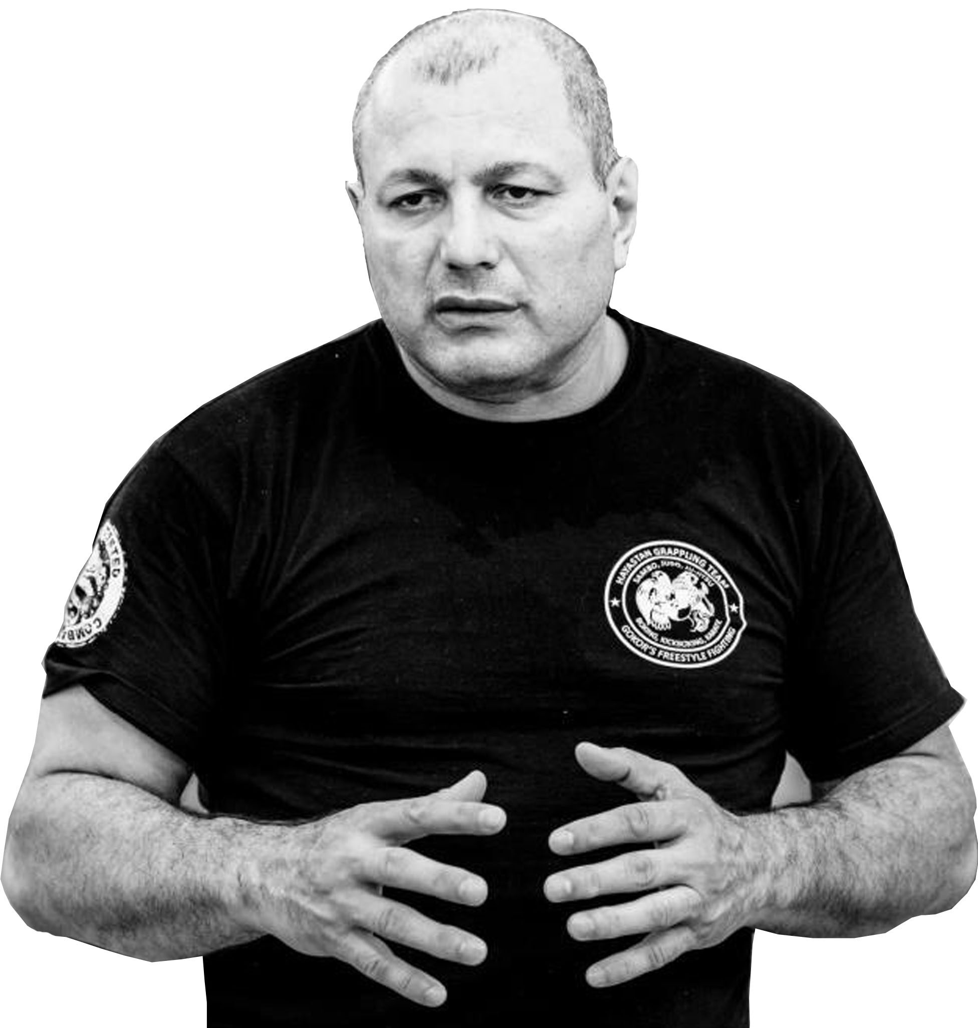 hayastan mma academy Gokor MMA Fighting Gym (6) Gokor Grand Master