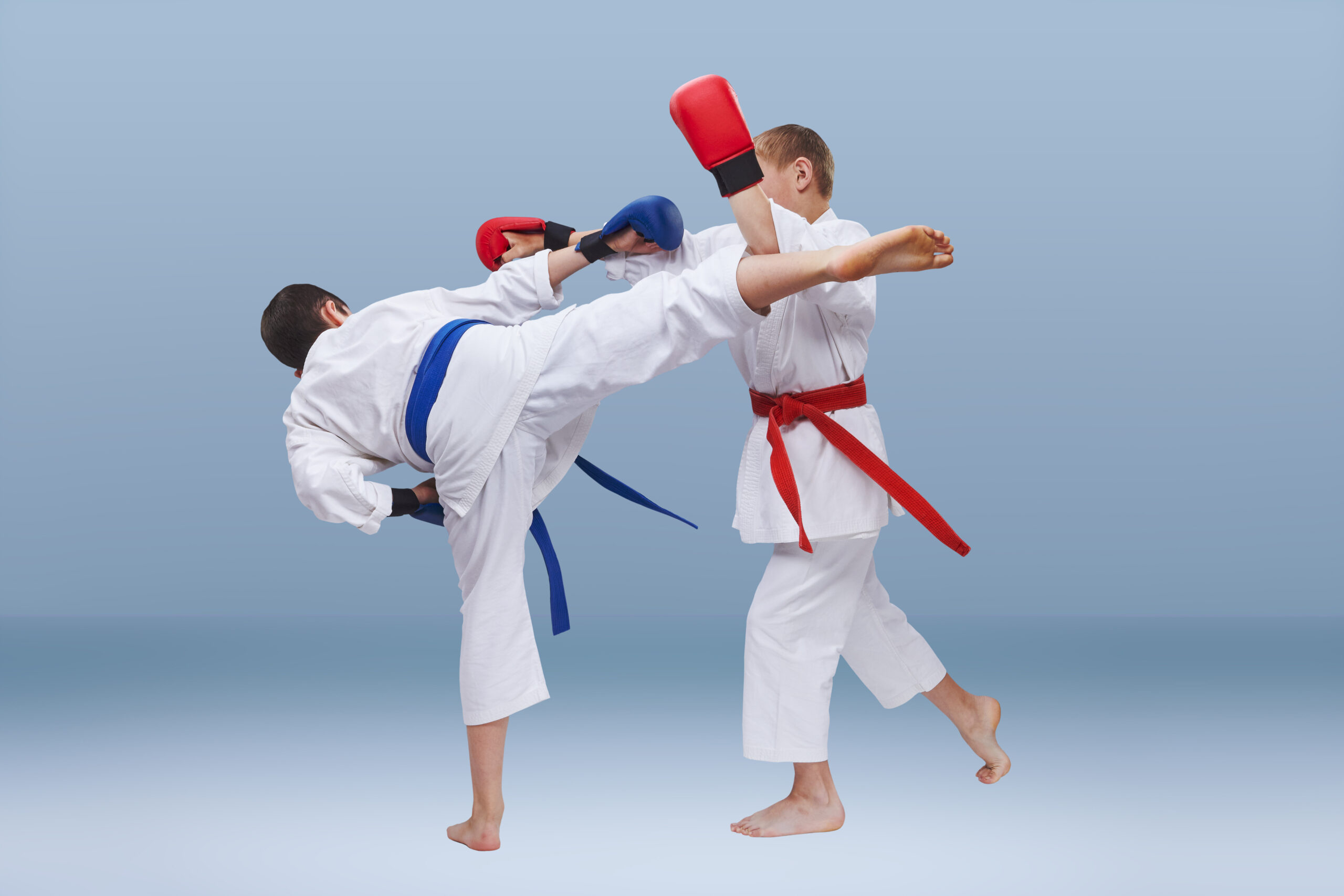 Hayastan MMA Academy – Best LA MMA GYM in LOS ANGELES (1) adult Kick Boxing training