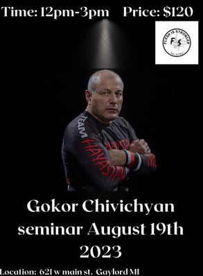 hayastan mma academy seminars