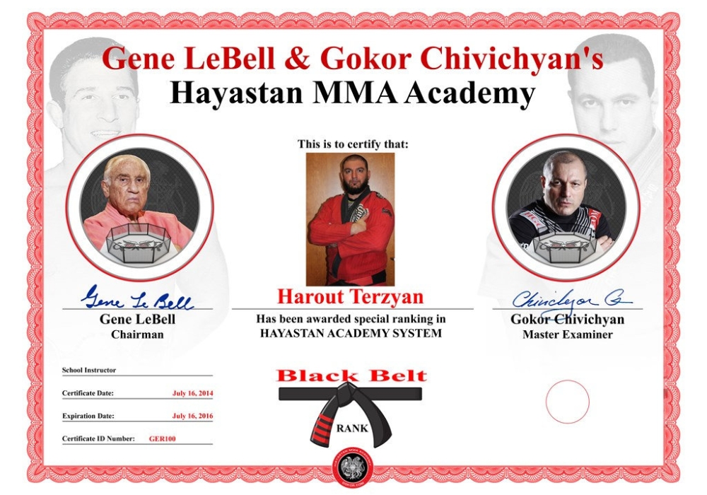 Hayastan MMA Academy Certificate