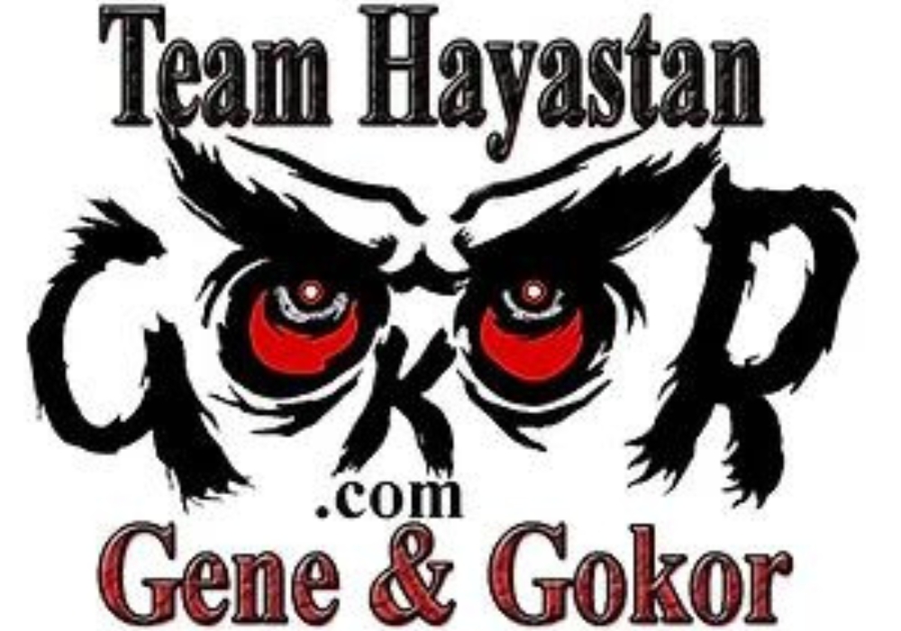 Team Hayastan