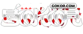 gokor-mma-academy-3-ezgif.com-png-to-webp-converter